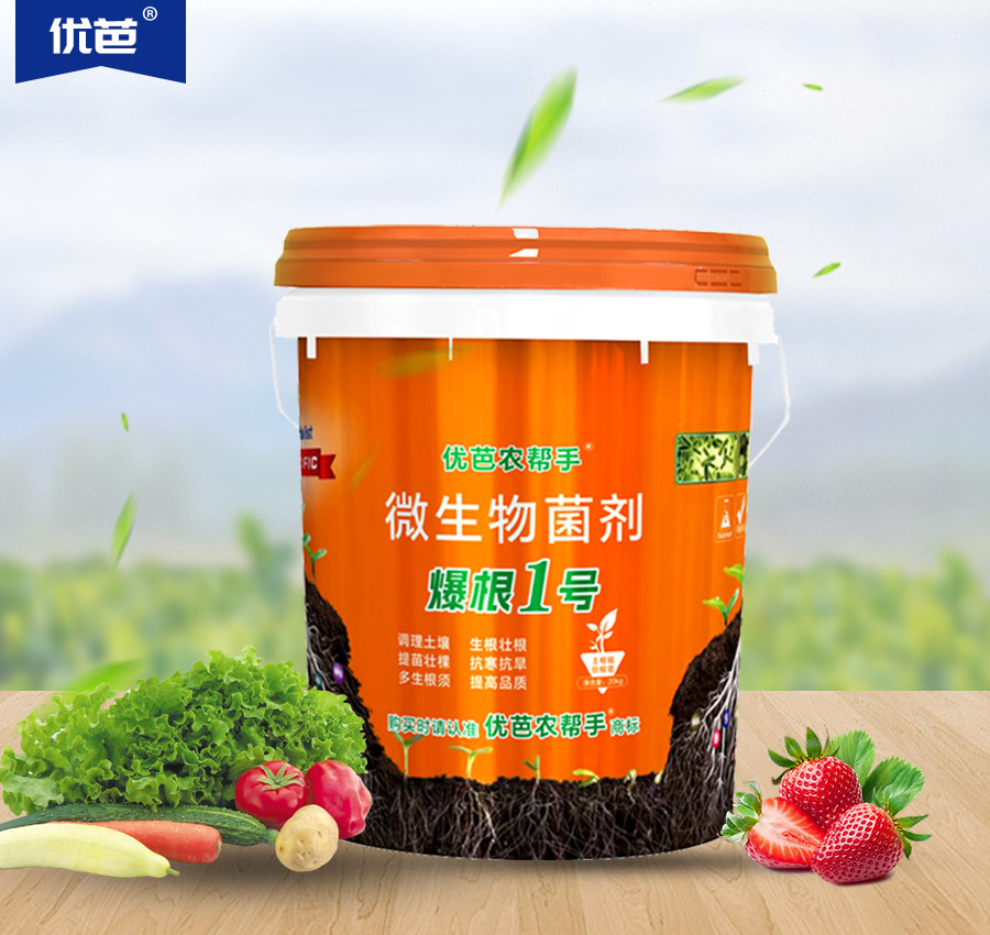 爆根1號