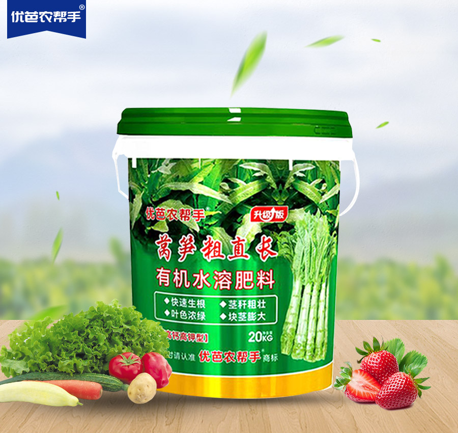 萵筍粗直長